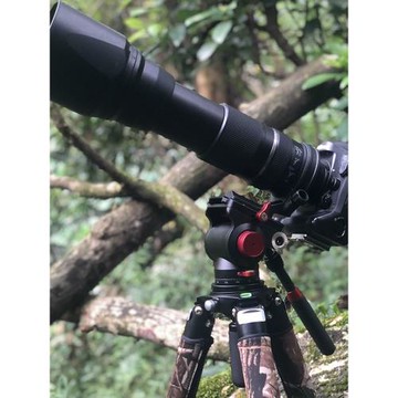【36mm管徑 更穩定】佳鑫悅TA364C長焦拍鳥大炮碳纖維相機三腳架重型專業攝影攝像支架液壓云臺赤道儀望遠鏡