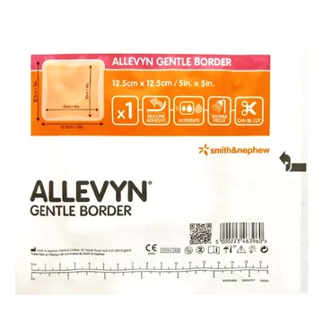 史耐輝矽膠愛力膚敷料 (滅菌) 大 12.5X12.5cm (10片盒裝)