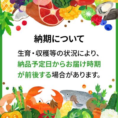 ふるさと納税 三種町 ＜新米＞あきたこまち 自信作 5kg×5回 令和5年産|05_aye-020105