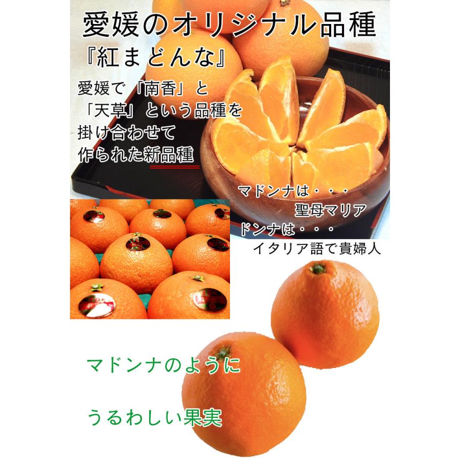 紅マドンナ 紅まどんな 送料無料 愛媛県 紅まどんな 秀品 3kg 12個入り ぜりーのようなプルプル果肉 愛媛の貴婦人 お歳暮 ギフト 予約 12月上旬頃から