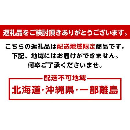 ふるさと納税 厳選！小玉すいか『ひとりじめ』２玉入り 和歌山県印南町