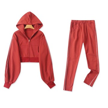 毛圈棉休閑套裝  春秋新款外貿女裝連帽短款開衫+松緊腰長褲30665