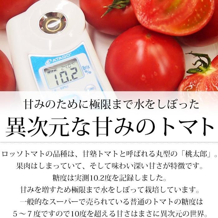 フルーツトマト 愛知県産 ロッソトマト 約1kg Lサイズ 7〜13個 高糖度