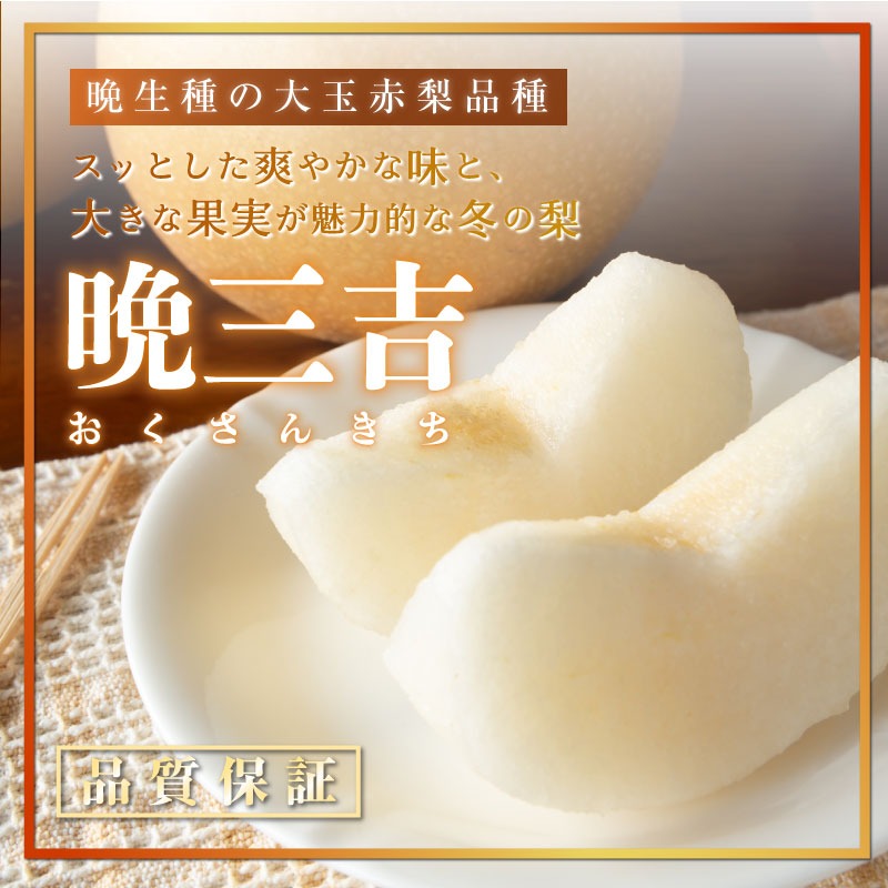 [予約 2023年 12月1日-12月31日の納品] 晩三吉 約1.2kg 約600g×2玉 おくさんきち 大分県他 ありの実箱 果実専用箱 冬ギフト 梨 和梨 冬ギフト お歳暮 御歳暮