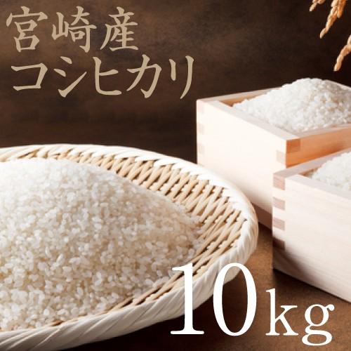 米 こしひかり 10kg 新米 令和4年産 宮崎県産 九州 お米 精白米 コシヒカリ 白米 送料無料