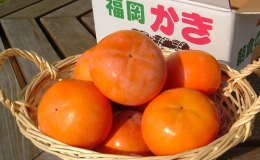 柿 富有柿 朝倉産 5kg 16玉～18玉 朝倉りんご園