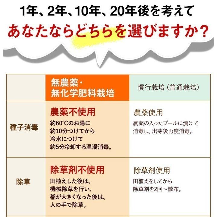 発芽玄米 無農薬 2Kg つや姫 宮城令和5年産 特別栽培米 真空パック