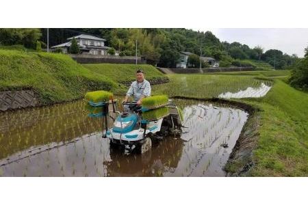 大分県産ひのひかり「ゆふ清流米」30kg