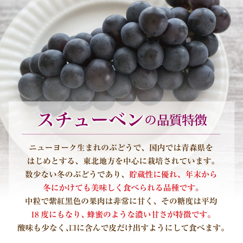 [予約 11月16日-11月30日の納品] スチューベン 約1.5kg 4-8房 長野県 山形県 青森県産他 化粧箱 ぶどう ブドウ 高糖度　冬ギフト お歳暮 御歳暮