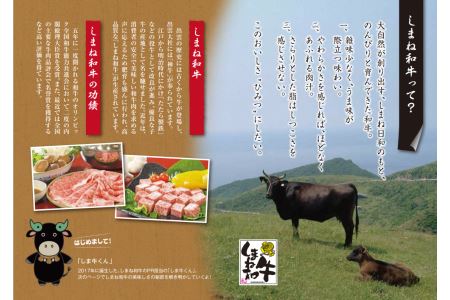 1304.神話の国島根が誇る逸品　しまね和牛　ローススライス