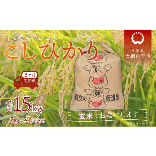 ふるさと納税 千葉県 大網白里市 ＜3ヶ月定期便＞千葉県産エコ米「コシヒカリ」玄米5kg×3ヶ月連続 計15kg ふるさと納税 玄米 定期便 5kg コシヒカリ エコ米 …