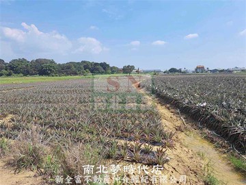 關廟大面寬５．８分美農地｜台南市關廟區埤子頭段