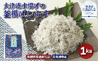 大津港水揚げの釜揚げしらす　1kg（茨城県共通返礼品／北茨城市産）