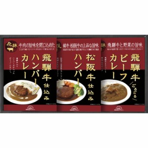 飛騨高山ファクトリー 松阪牛・飛騨牛仕込みハンバーグカレー詰合せ (HBK-22)