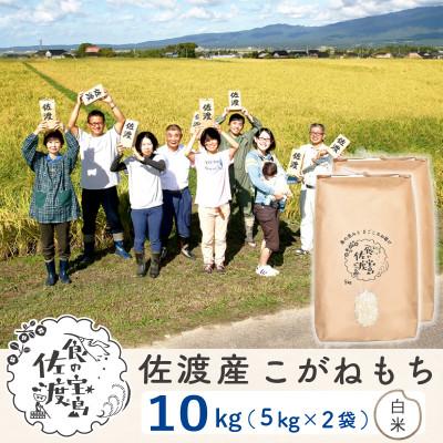 ふるさと納税 佐渡市 佐渡島産こがねもち もち精米10Kg(5Kg×2袋)