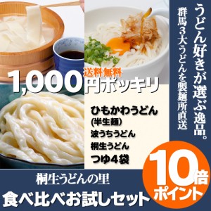 半生ひもかわうどん 波打ちうどん(200g) 桐生うどん(130g)セット  うどん ひもかわ お試し 1000円ポッキリ