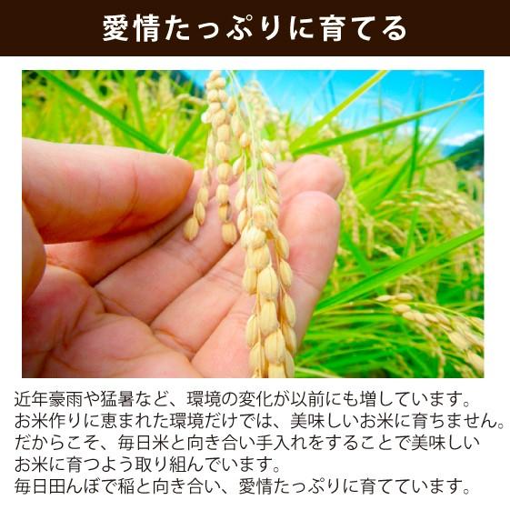 新米 お米ギフト　魚沼産コシヒカリ　白米５ｋｇ　化粧箱入り　令和５年産  安心安全 農家直送 信頼と品質のお米 魚沼市推奨コシヒカリ 送料無料