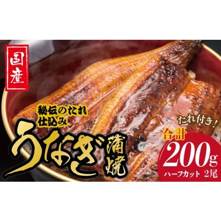 ふるさと納税 国産うなぎ ハーフカット 合計 200g 秘伝のたれ 蒲焼 訳あり 鰻 ウナギ 無頭 炭火焼き 備長炭 手焼き 大阪府泉佐野市