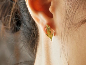 自然系植物耳釘 乾燥花 永生花 耳環 | 簡約設計 | 生日禮物