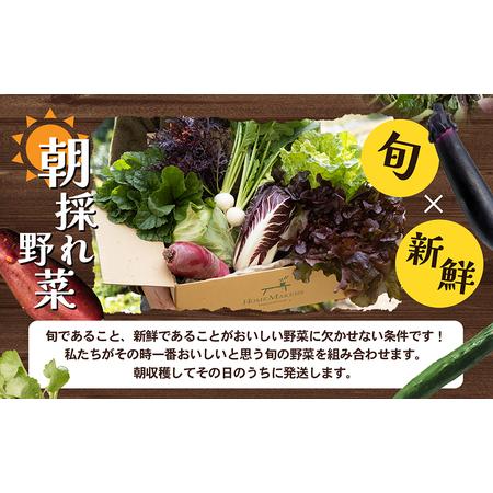 ふるさと納税 瀬戸内小豆島の旬野菜セット 農家直送 年4回お届け 香川県土庄町