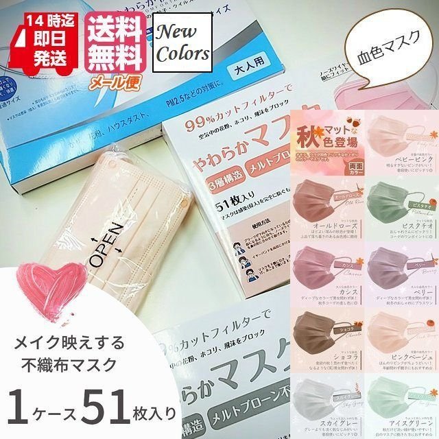 往復送料無料 やわらか3層式 不織布マスク ふつうサイズ 51枚