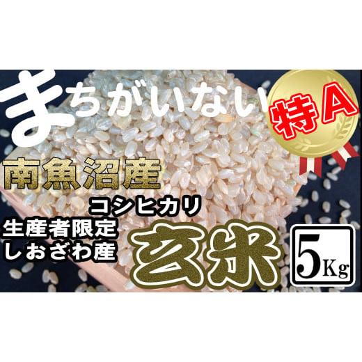 ふるさと納税 新潟県 南魚沼市 玄米 生産者限定 南魚沼しおざわ産コシヒカリ5Kg