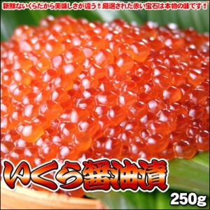 いくら 醤油漬 250g 送料無料 ※沖縄別途送料加算