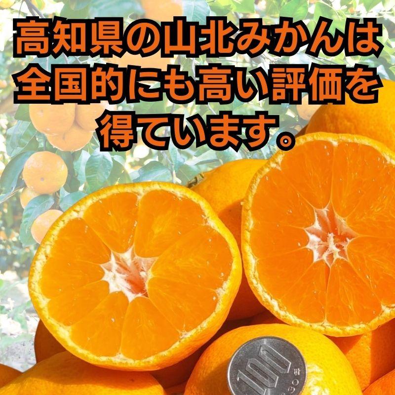 山北みかんMSサイズ限定　10kg　みかん蜜柑　中級品　高知産