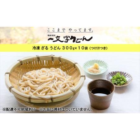 ふるさと納税 冷凍 ざる うどん 300g×10袋（つけ汁90g×10袋つき）備前福岡 一文字うどん 岡山県瀬戸内市