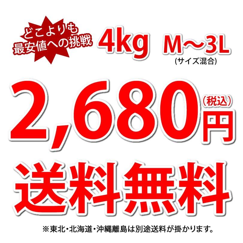 デコポン 同品種 デコみかん 訳あり 送料無料 4kg ハウス栽培 みかん 熊本県産 不知火 ミカン 蜜柑