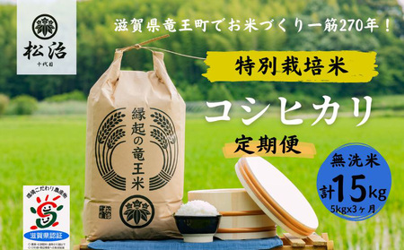 定期便 3ヶ月 コシヒカリ 無洗米 5kg 縁起の竜王米 特別栽培米 令和5年産  新米 ブランド米  無洗米 計 15kg 定期便 3回 おこめ ご飯 270年続く お米 農家 ライス 環境 こだわり米 農家直送 ギフト 国産 滋賀県 竜王町 ふるさと納税