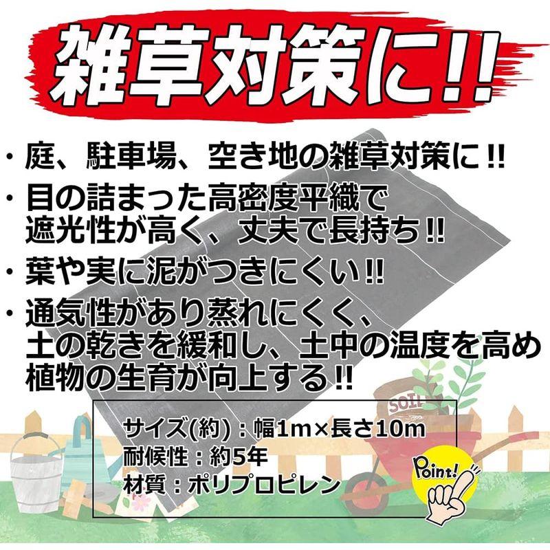 セフティー3 高密度防草シート 匠 耐候性約5年 幅1mx長さ10m