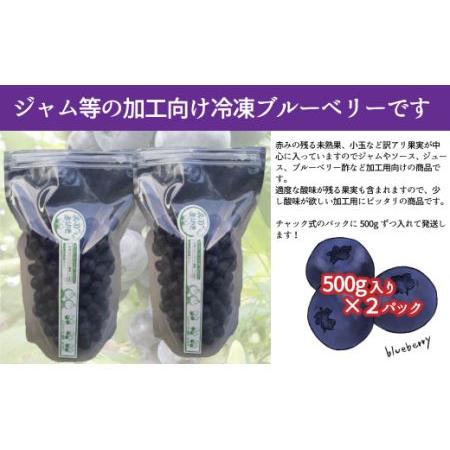 ふるさと納税  ジャム用冷凍ブルーベリー１kg　西条ブルーベリー農園 ブルーベリー 冷凍 2024年7〜9月発送 愛媛県西条市