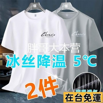 🌱在台出貨🌱 冰絲短袖男加肥加大碼t桖男士夏季寬鬆休閒百搭背心體恤衣服1/2件 冰絲上衣 短袖T恤 宽松T恤 大學T