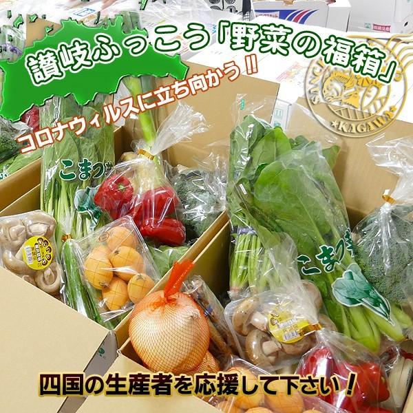 産直あきんど厳選野菜の詰め合わせ15品セット　送料無料