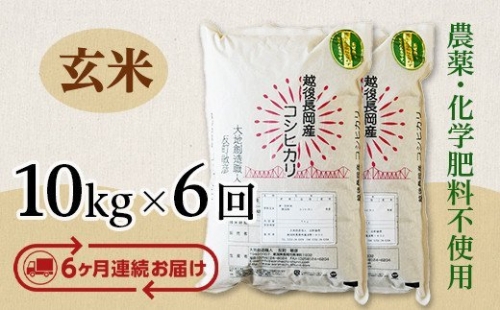 E1-17新潟県長岡産コシヒカリ玄米10kg