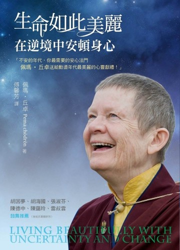 生命如此美麗：在逆境中安頓身心[二手書_良好]