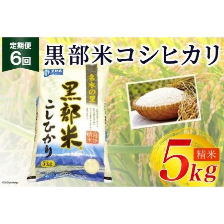 ふるさと納税 定期便 米 黒部米 コシヒカリ 5kg×6回 総計30kg 精米 白米 こしひかり お米  黒部市農業協同組合 富山県 黒部市 富山県黒部市