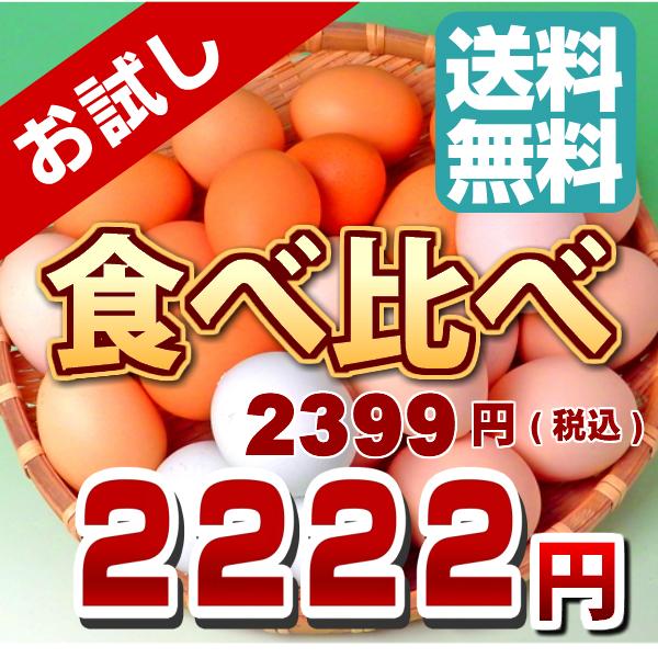 ギフト不可★　お試しセット 食品 初回限定 卵 信州産 純国産鶏 産地直送 朝採れ 朝どりたまご 2種 計20個入 食べ比べセット