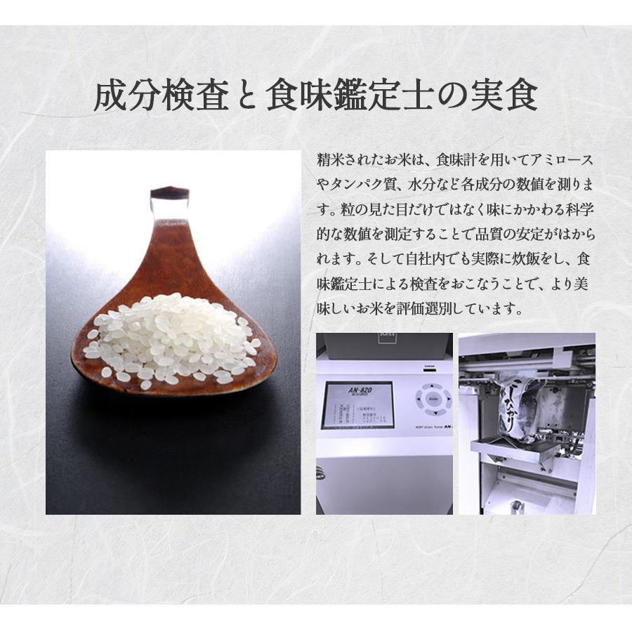 お米 10kg 白米 送料無料 新米 令和5年産 新潟県産 こしいぶき 産地直送 米 国産 国内産 10キロ ブランド米 ギフト お中元 父の日 母の日 敬老の日