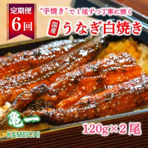 定期便 6ヶ月 国産 うなぎ 鰻 白焼 白焼き しら焼き120g 2本 うなぎ 土用 丑の日 老舗 亀一 うなぎ 特製 タレ 真空パック ひつまぶし うなぎ ギフト 贈答 冷凍 お取り寄せ うなぎ お祝い