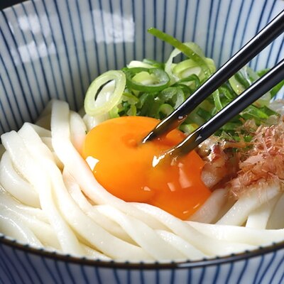 うどん 讃岐うどん 早ゆで5分 8食（180g-4袋） 生麺 本場讃岐伝統の味 細め お試し グルメ