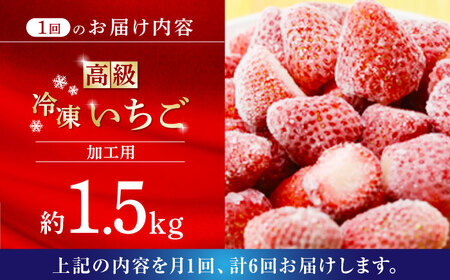 高級 冷凍  いちご 加工用 約1.5kg 果物 フルーツ イチゴ いちご 苺 熊本県 特産品 オーガニック 有機 恋みのり 冷凍 いちご 冷凍いちご 定期 [ZBB016]