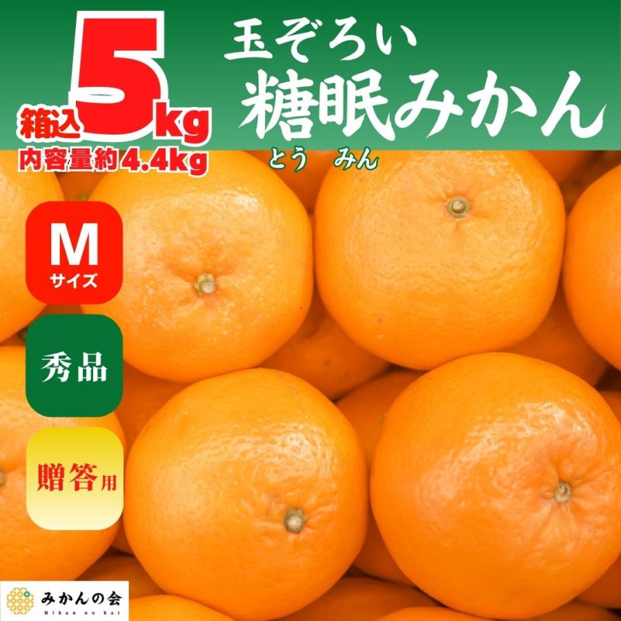 熟成 みかん 秀品 箱込 5kg 内容量 4.4kg Mサイズ 玉ぞろい 有田みかん 和歌山県産 産地直送 贈答用 