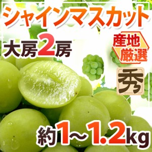 ”シャインマスカット” 秀品 大房限定 2房 約1～1.2kg 産地厳選[M2] 送料無料