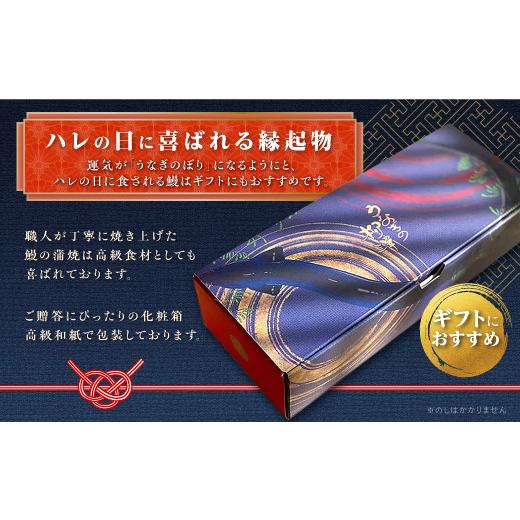 ふるさと納税 鹿児島県 大崎町 うなぎの柳澤　うなぎ蒲焼4尾（計680g）