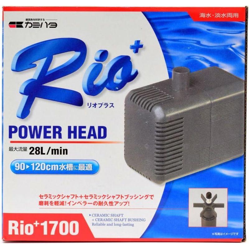 カミハタ Rio 2100 (60Hz・西日本地域用) パワーヘッドポンプ