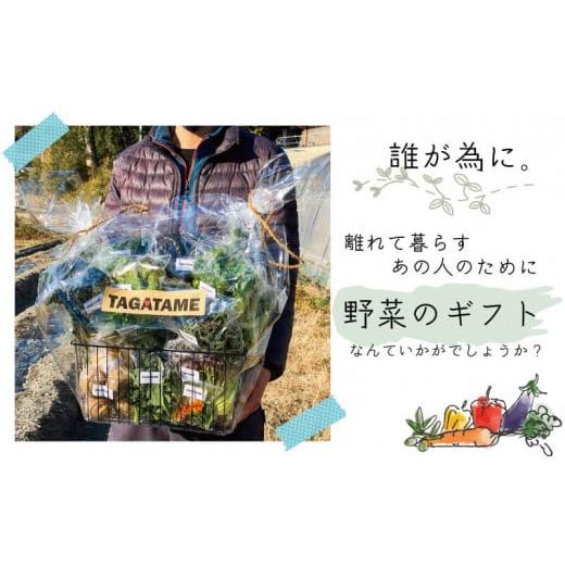 ふるさと納税 香川県 さぬき市 野菜 特別栽培 大容量 セット 詰め合わせ 栽培期間中農薬不使用 10~15種類 TAGATAME タガタメ 旬の採れたて お野菜 詰め合わせ …