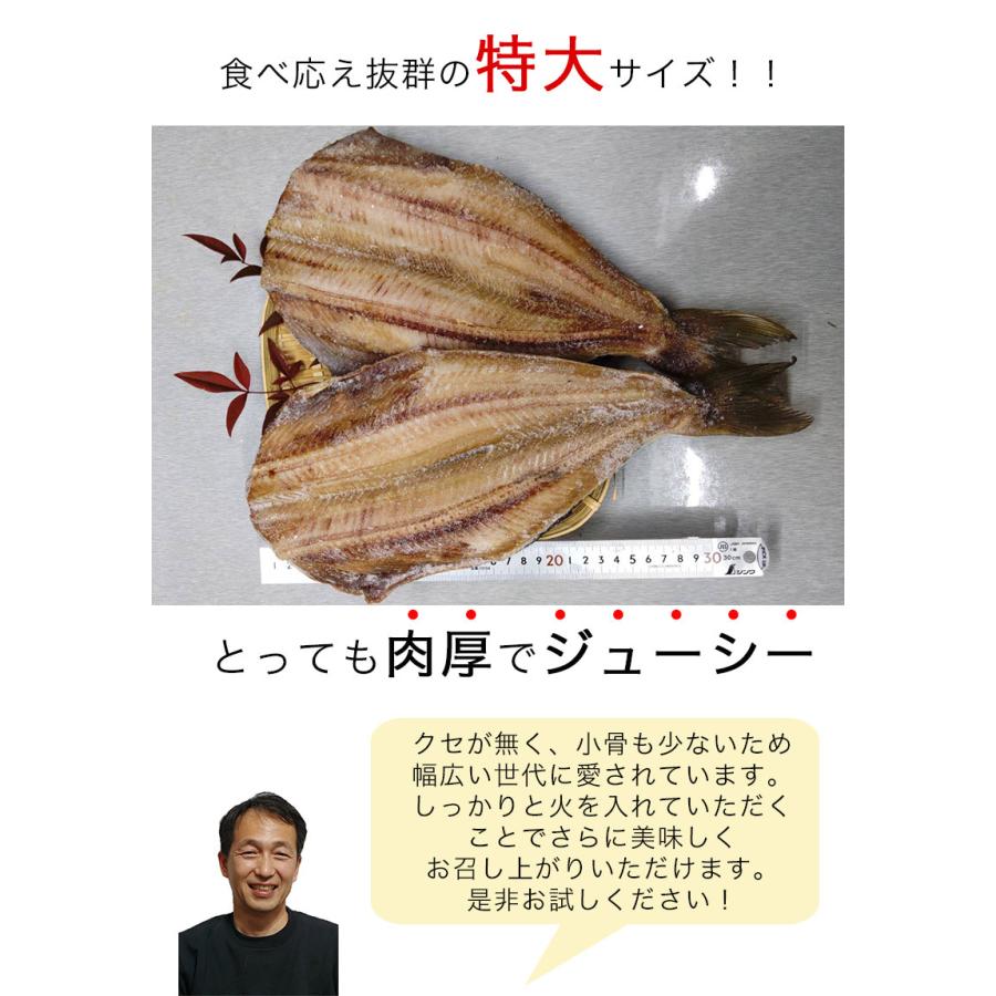 大きい 特大サイズ 縞ほっけ 干物 お試し 干物セット 送料無料 縞ほっけ 2枚セット 大きさが自慢 ほっけ 肉厚 干物 海産物