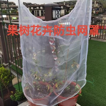 🥇無花果防蟲網罩網袋蓮霧櫻桃藍莓楊梅蘋果花卉綠植防蟲防鳥網罩